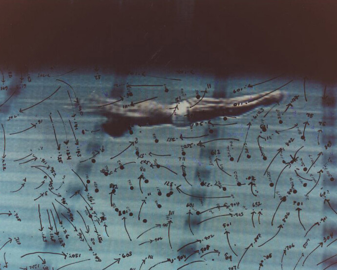 Howardena Pindell. Courtesy of MCA Chicago 