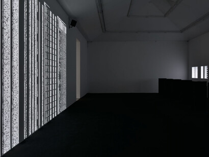 Ryoji Ikeda. Courtesy of Almine Rech Gallery