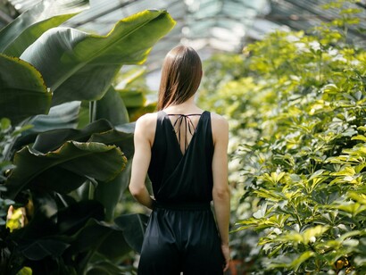 A lone woman standing amidst towering green, symbolising the stillness that comes before transformation