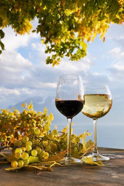 Durello and Schiava wines