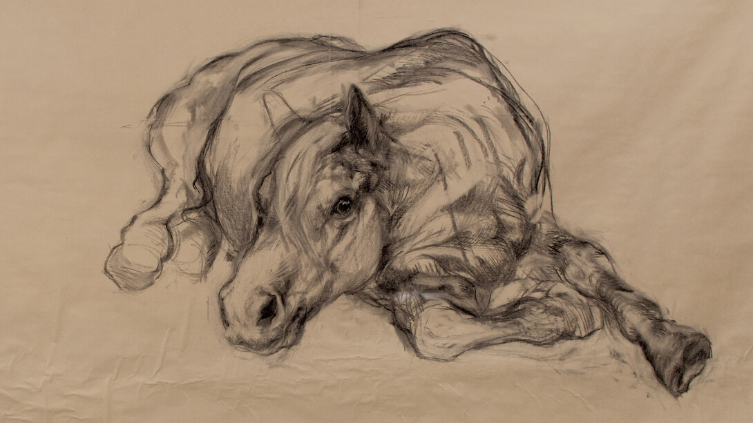 Nicola Hicks, Untitled (Horse lying down), 2014, charcoal on paper, © Nicola Hicks, Courtesy of Flowers Gallery