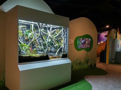 Savage garden, exhibition view. Courtesy of Science Centre