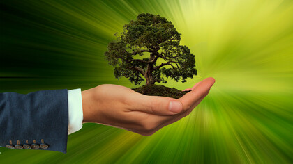 O setor empresarial português tem-se esforçado para integrar práticas mais sustentáveis nas suas operações