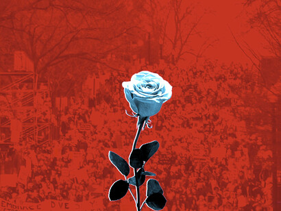 Rosa socialdemócrata, símbolo que une a la izquierda democrática en el mundo