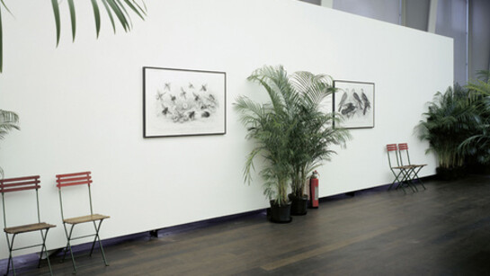 Marcel Broodthaers. Courtesy of Hauser & Wirth