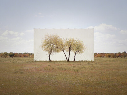 Tree... Courtesy of Yossi Milo Gallery