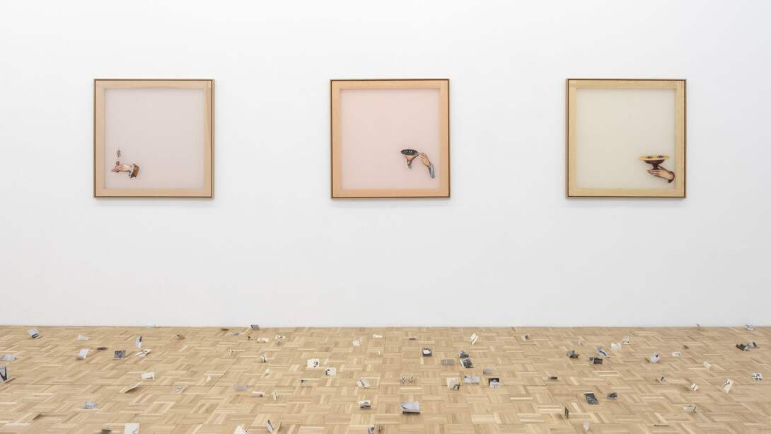 Clara Sánchez Sala, Del marfil al color hígado [From ivory to liver-tone], exhibition view. Courtesy of NF/Nieves Fernández Gallery