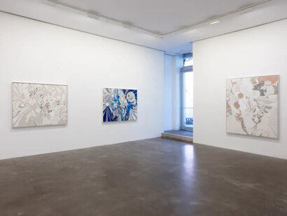 Ryan Wallace, Second skin, exhibition view. Courtesy of Susan Inglett Gallery