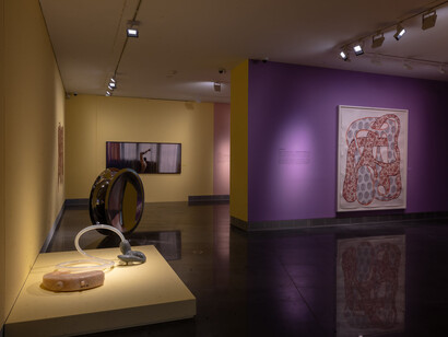 Dear viewer, what are you looking at? Exhibition view. Courtesy of Museo Universidad de Navarra