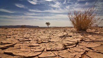 Le conseguenze dei cambiamenti climatici 