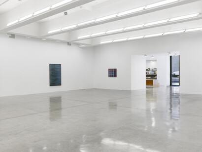 Lisa Oppenheim, Installation view of A Durable Web., Tanya Bonakdar Gallery, New York, September 7 – October 21, 2017.
Photo: Maris Hutchinson. Courtesy of the artist and Tanya Bonakdar Gallery, New York