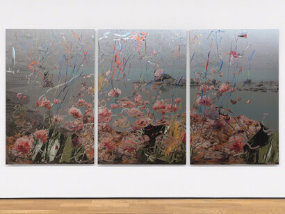 Human sheep brain, Exibition view. Courtesy of Foxy Production