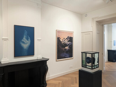 Various artists, Nature, perception and materiality in contemporary lens-based art, exhibition view. Courtesy of Bildhalle