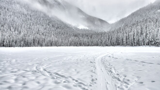 Le azioni sociali hanno una dimensione simbolica