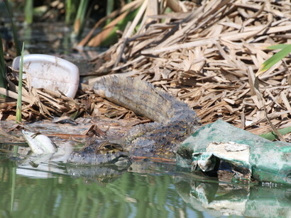 Rios, margens e lagoas contaminadas sem perspectiva de recuperação na segunda metrópole brasileira