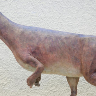 Hall of Ornithischian Dinosaurs. Courtesy of American Museum of Natural History