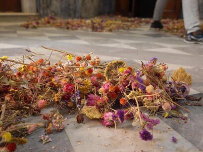 Rebecca Louise Law, Florilegium, Parma Capitale della Cultura 2020
