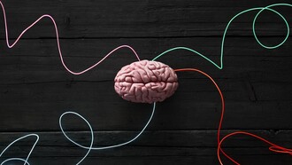 La estimulación cognitiva a lo largo de los años es clave para crear y fortalecer las conexiones neuronales y construir una especie de reserva de neuronas, capaces de hacer que el cerebro sea más tolerante a los efectos del deterioro