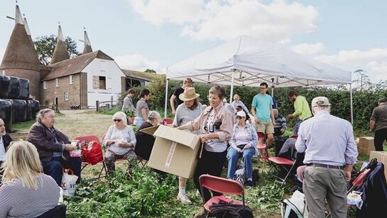 Hop-picking trip, 2018. Courtesy of Company Drinks, photo Nick Matthews