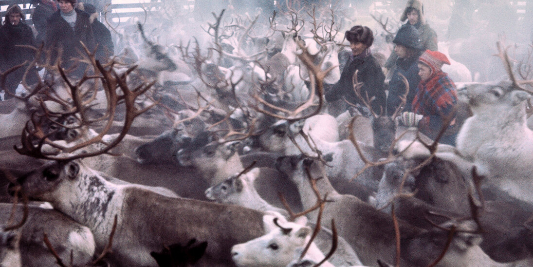 Northern Ways. Courtesy of Arktikum