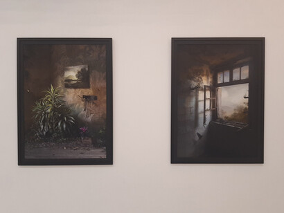 Suzanne Moxhay, Hybrid & Casement, 2017-19