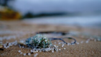 L'esame dei campioni prelevati ha mostrato la quantità di plastiche e microplastiche che si sono accumulate sul fondo marino negli ultimi decenni e il loro aumento, in particolare a partire dagli anni '80