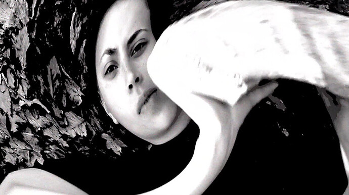 Orbits. Courtesy of Berlin Blue 