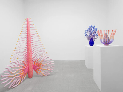 Sarah Ippolito, Liquid realm, exhibition view. Courtesy of VSF Gallery