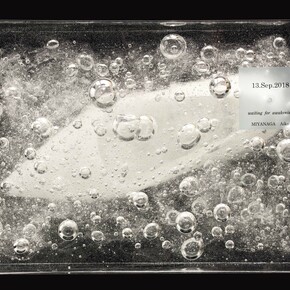 Miyanaga Aiko
waiting for awakening -high-heeled shoes-
2018 naphthalene, resin 20 x 30 x 19.5 cm
© miyanaga aiko, courtesy of mizuma art Gallery
