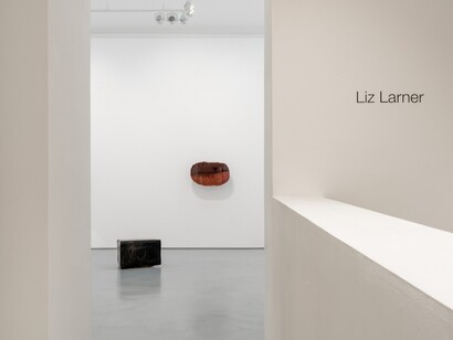 Liz Larner, Exhibition view. Courtesy of Galerie Max Hetzler