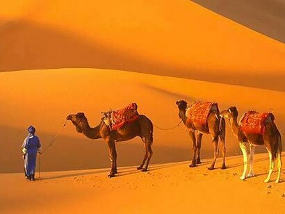 Desert, Saudi Arabia