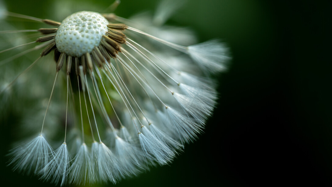 Trust the flow of imagination, ph. Michael Stillwater