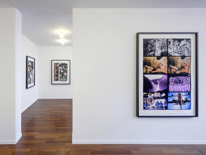 Carolee Schneemann. Courtesy of MFC - Michèle Didier