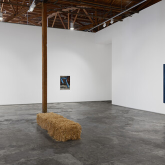 Sarah Miska, Happy trails, exhibition view. Courtesy of Night Gallery