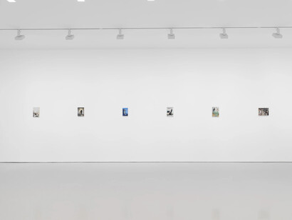 Tim Hawkinson, Cabinet pictures, exhibition view. Courtesy of Miles McEnery Gallery