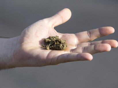 Hashish