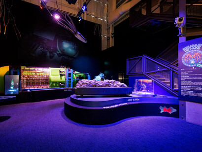 Ultimate depth, a journey to the bottom of the sea, exhibition view. Courtesy of Australian National Maritime Museum