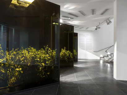 Reconnecting with the World. Courtesy of Frankfurter Kunstverein