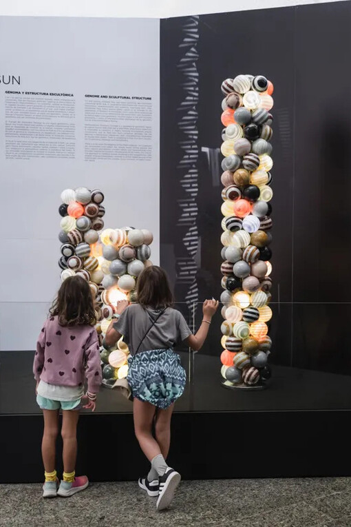 Park Eun Sun, Genoma y Estructura escultórica, vista della mostra. Cortesia della Ciutat de les Arts i les Ciències