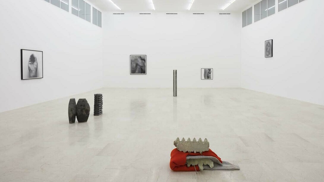 Foreign bodies. John Coplans & June Crespo, installation view, 2018, P420 Bologna. Ph C. Favero