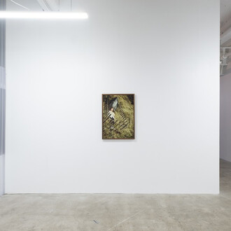 Lily Worrall, moon iron wings, exhibition view. Courtesy of Enjoy Contemporary Art Space