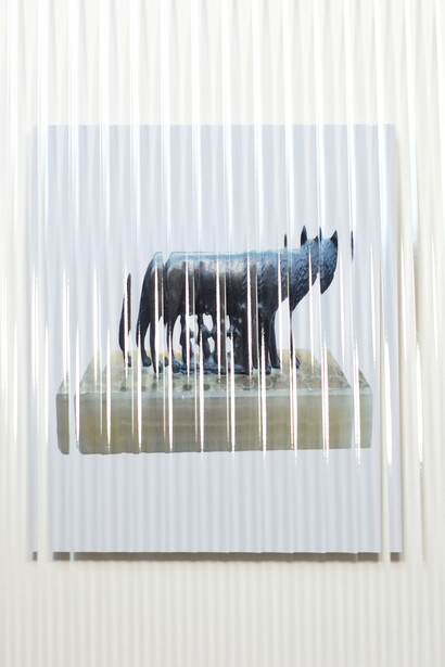 Giuseppe De Mattia. Dispositivo per non vedere bene, Lupa 3, Bologna 2017