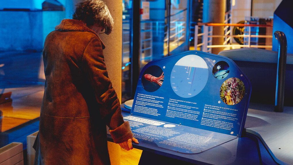Sous l’océan. Courtesy of Cité des Sciences et de l'Industrie