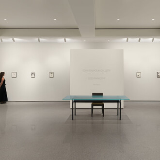 Sissi Farassat, Revelation, exhibition view. Courtesy of Edwynn Houk Gallery