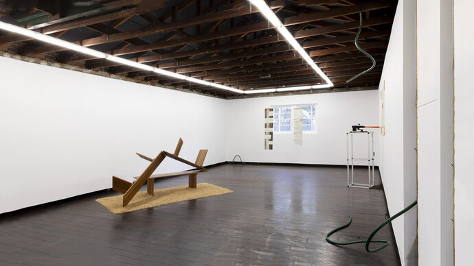 Garden variety Dykes, lesbian traditions in gardening, exhibition view. Courtesy of Firstdraft Gallery