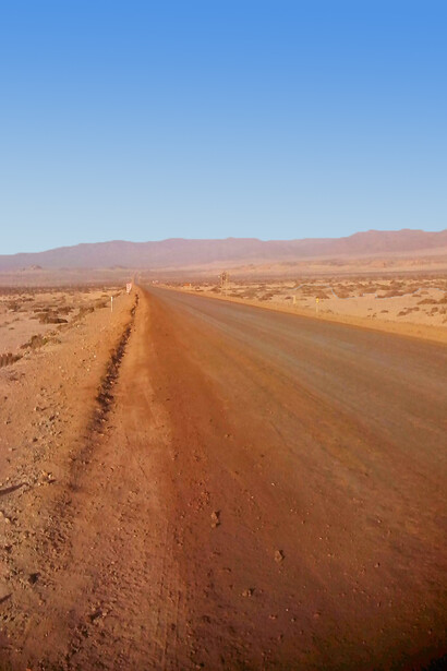 La lluvia cayó en agosto pasado, en el desierto de Atacama, entre Copiapó y Vallenar