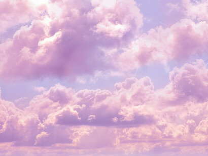 La célula contiene muchos niveles de organización jerárquicos