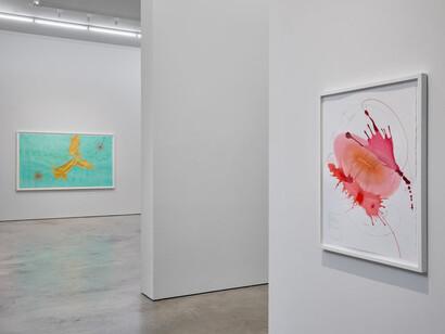 Jorinde Voigt, Trust and rain, exhibition view. Courtesy of Sicardi | Ayers | Bacino
