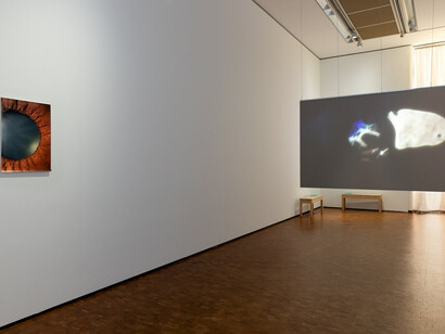 Pauline Hafsia M’barek, Entropic records, ausstellungsansicht. Mit freundlicher genehmigung des Museum Ludwig