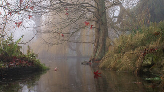 The melancholy season